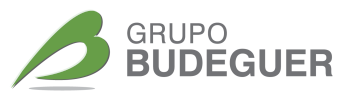Grupo Budeguer